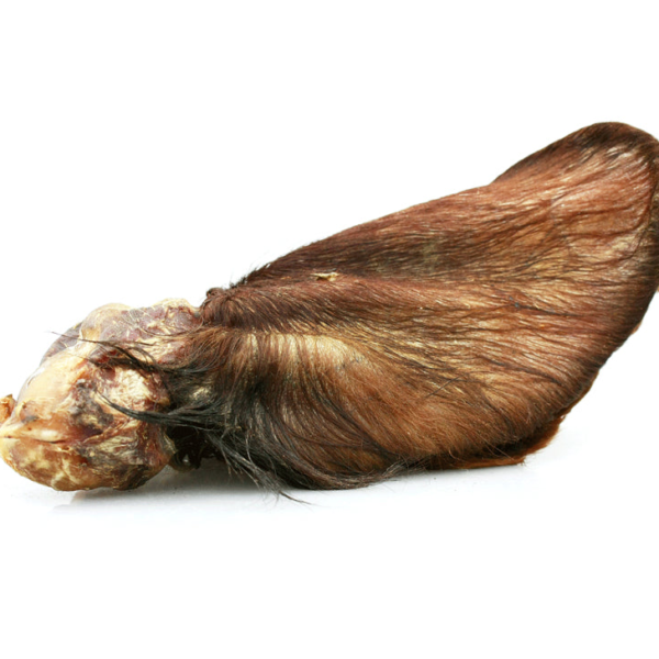 Wp Image54079892914520.png