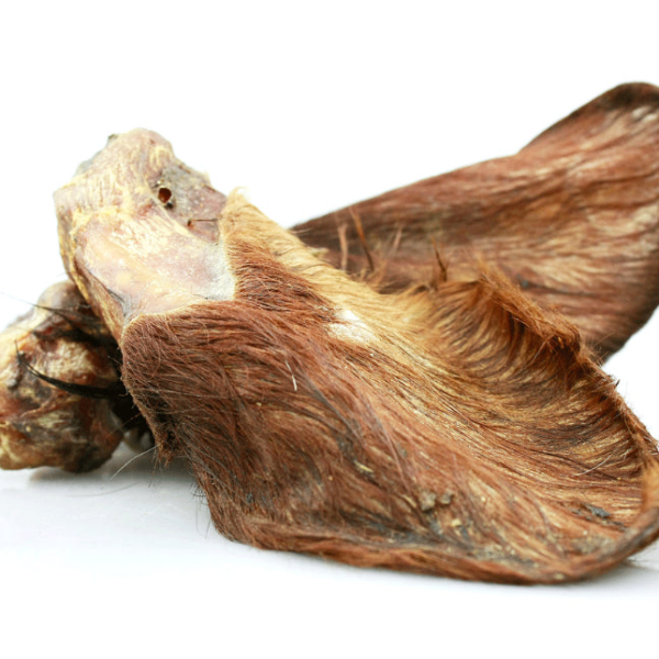 Oreja de ternera con pelo XL