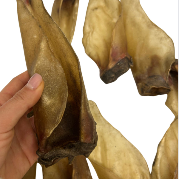 Wp Image54083674571096.png