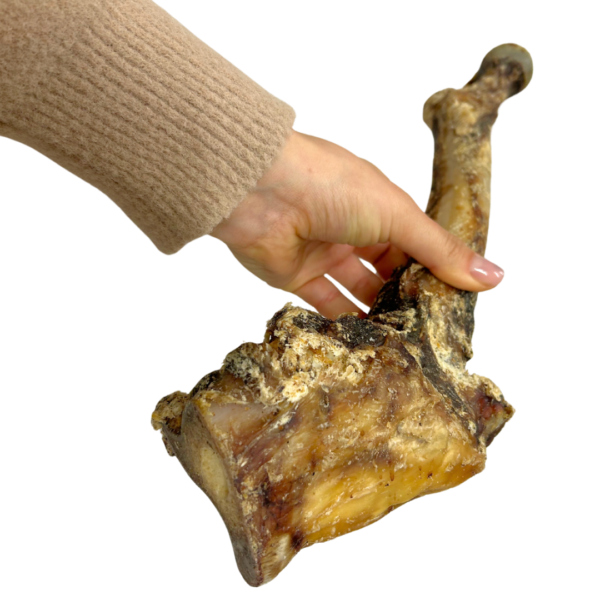 Wp Image54287736504664.png