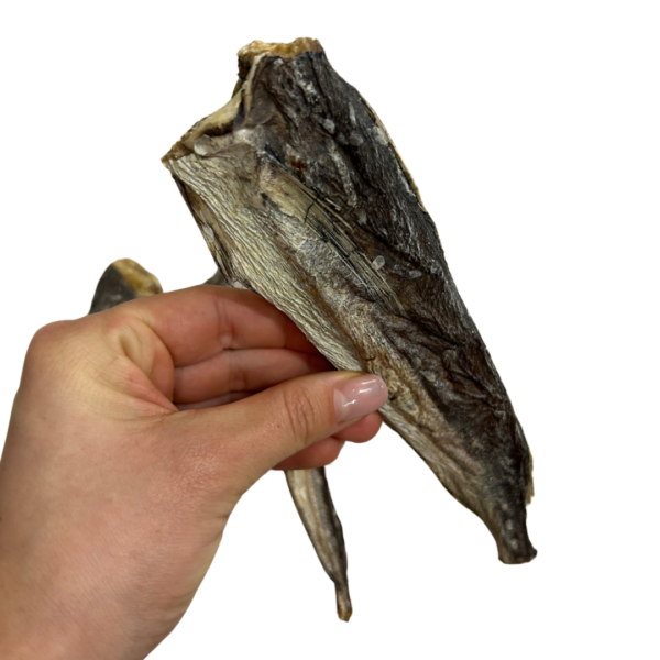 Wp Image54288077422936.png