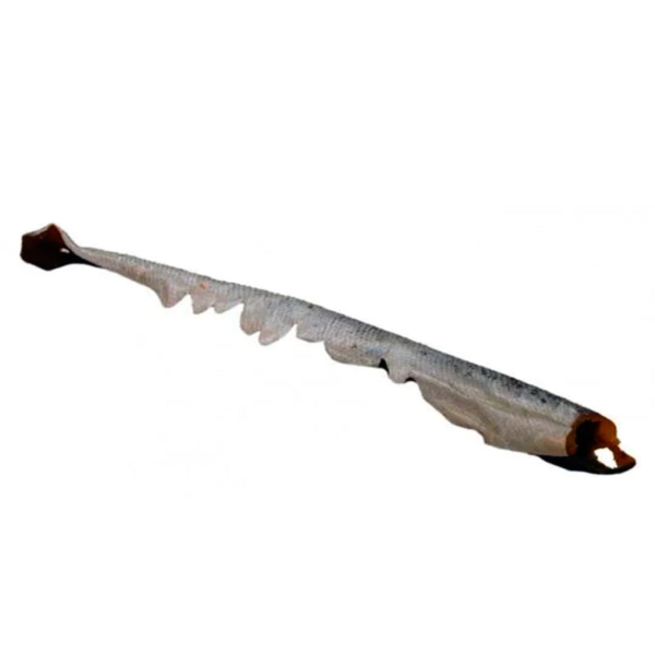 Wp Image54290303680856.png