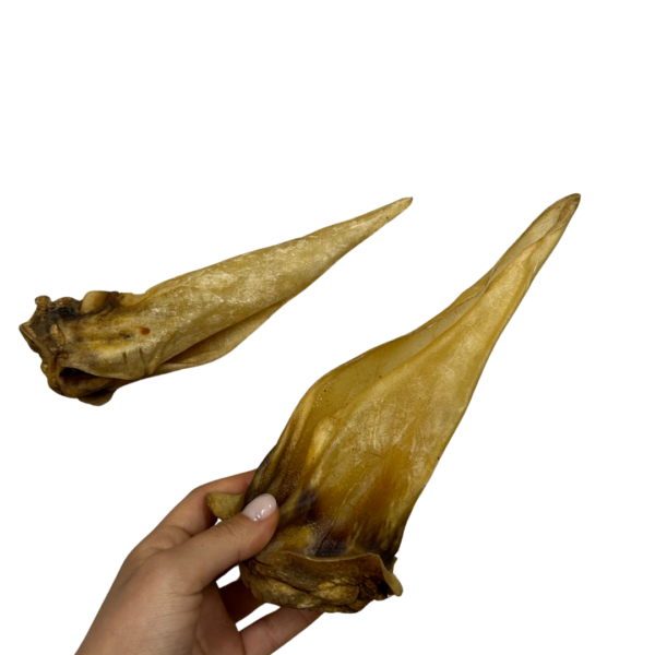 Wp Image54371724296536.png