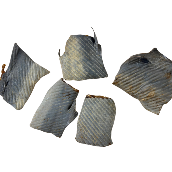 Wp Image54437680611672.png
