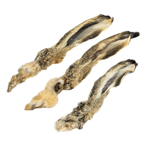 Oreja de liebre