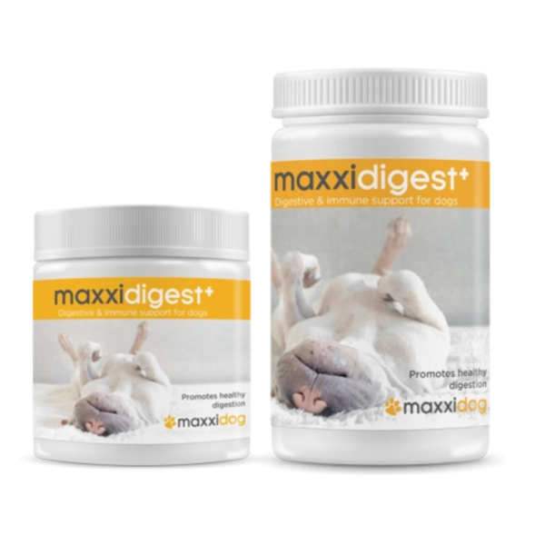 Maxxidigest Plus perros – Suplemento digestivo