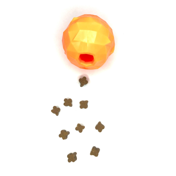 Wp Image56089168511320.png
