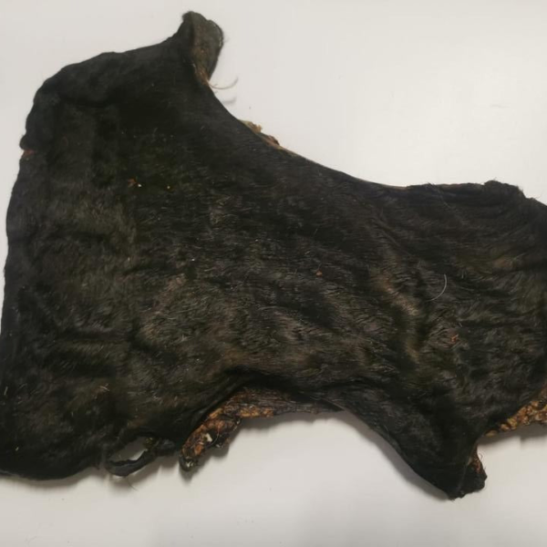 Placa de piel de ternera con pelo