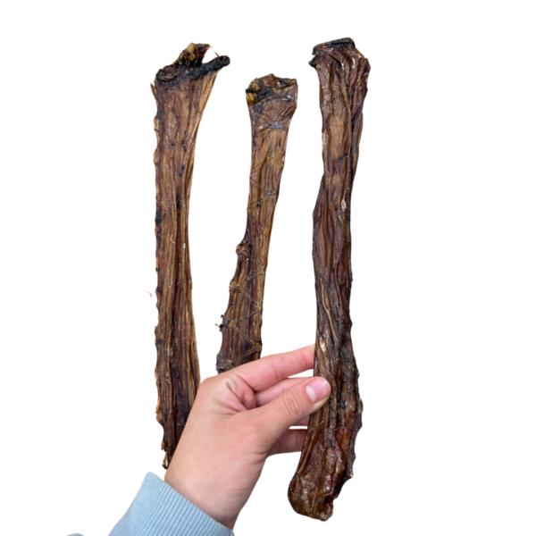 Wp Image58255804203352.png