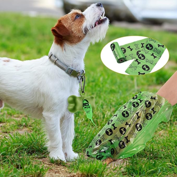 Wp Image58736895394136.png
