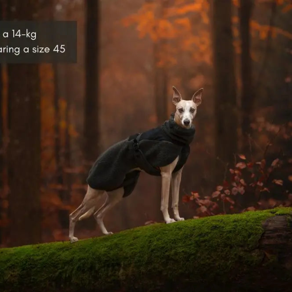 Wp Image72271918727512.png