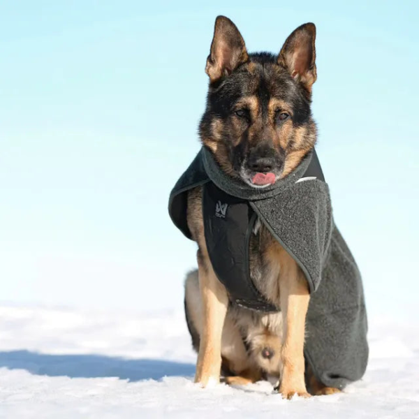 Wp Image72272022995288.png