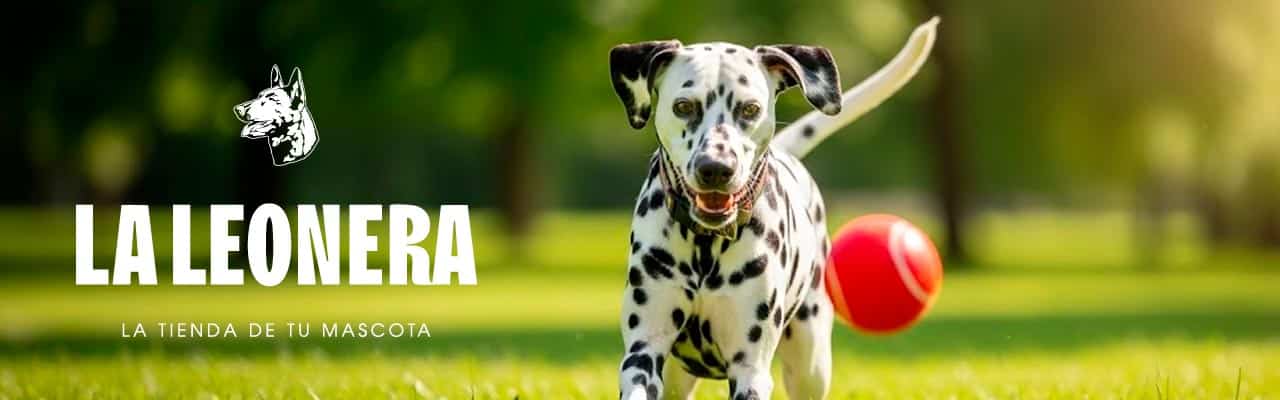 Laleonera Home Slide Perros
